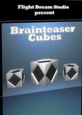 Brainteaser Cubes (2012) PC Скачать Торрент Бесплатно