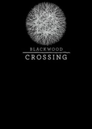 Blackwood Crossing (2017) PC RePack от qoob Скачать Торрент Бесплатно